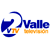 VTV2 online