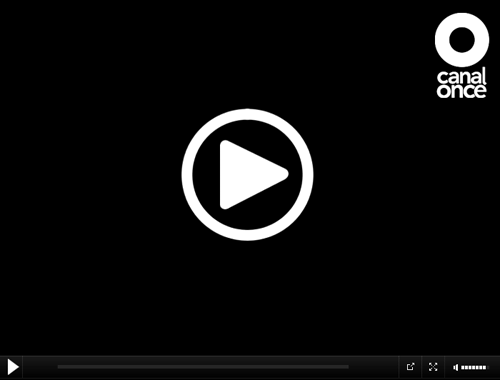 Canal Once online