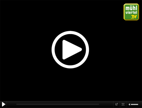 Muehlviertel TV
